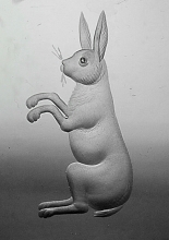 Detail of rabbit
